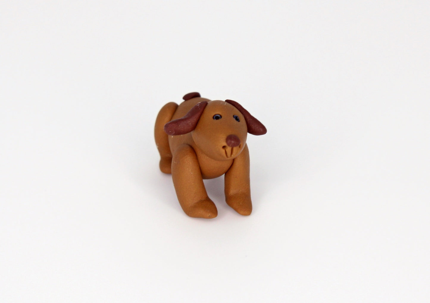 Brown Dog