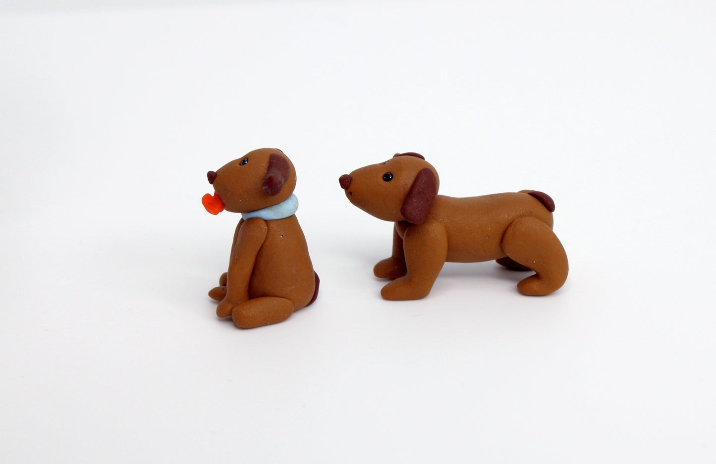 Brown Dog