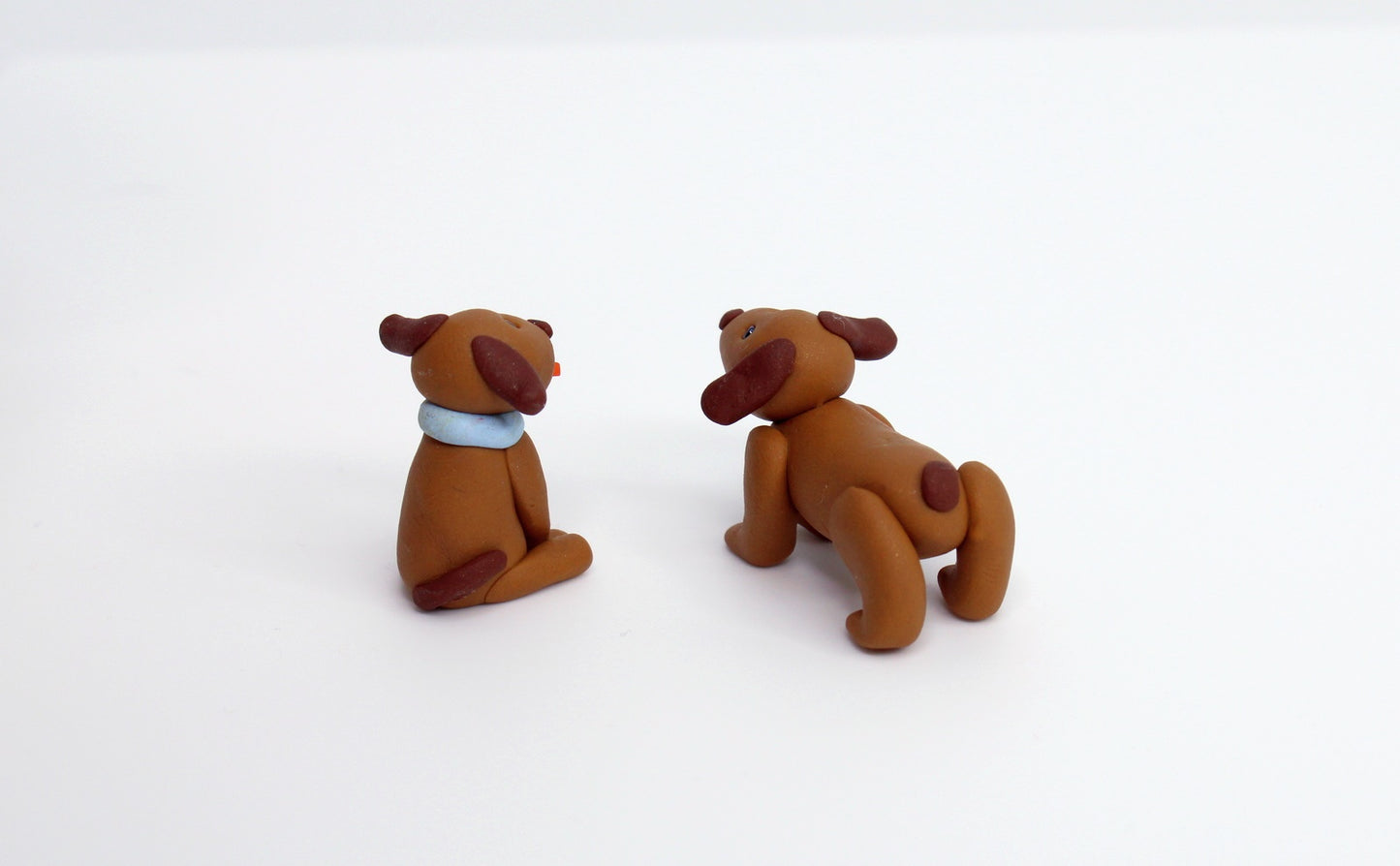 Brown Dog